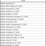 adobe2018_kouki-262×300