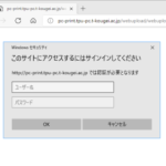 webprint1-450×353-300×235
