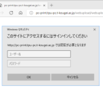 webprint1-600×470-300×235